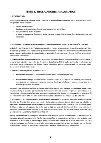 Derecho-individual.pdf