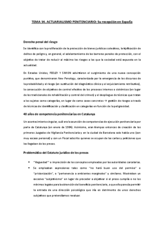 TEMA-14.-ACTUARIALISMO-PENITENCIARIO.pdf