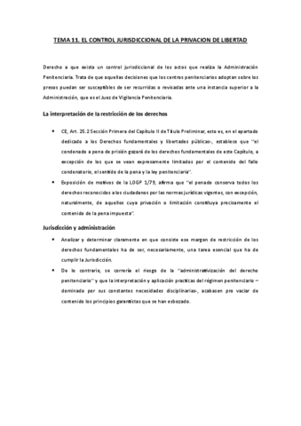 TEMA-11.-EL-CONTROL-JURISDICCIONAL-DE-LA-PRIVACION-DE-LIBERTAD.pdf