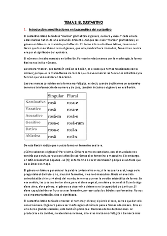 TEMA-3.pdf