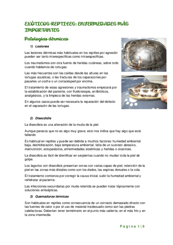 Tema-12-reptiles-enfermedades-mas-frecuentes..pdf