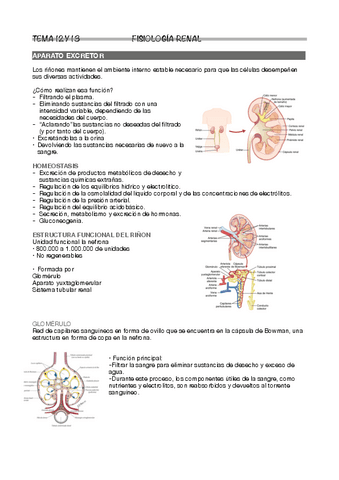 Tema-12-y-13.pdf