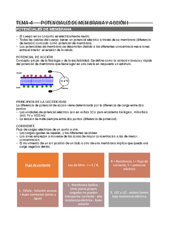 Tema-4.pdf