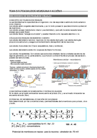 Tema-5.pdf