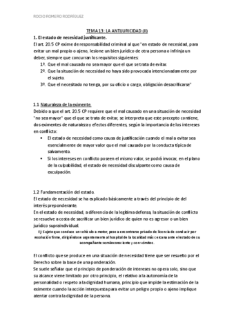 13.-Derecho-penal.pdf