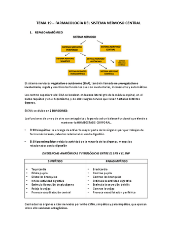 TEMA-19.pdf