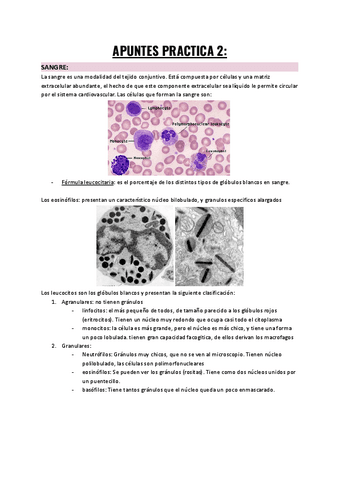 Practica-2-sangre-tej.-muscular-y-tej.-nervioso-BCHI-II.pdf