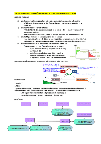 Apuntes-temas-fisiologia.pdf