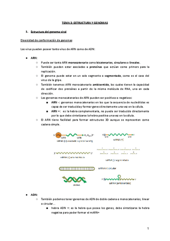 TEMA-3-ESTRUCTURA-Y-GENOMAS.pdf