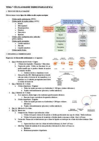 MEDICINA-REGENERATIVA-TEMA-7-CELULAS-MADRE-EMBRIONARIAS.pdf