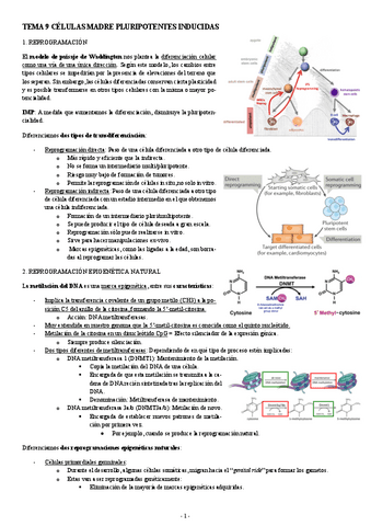 MEDICINA-REGENERATIVA-TEMA-9-CELULAS-MADRE-PLURIPOTENTES-INDUCIDAS.pdf