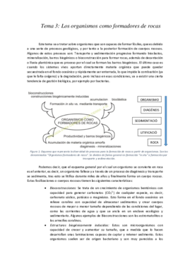 Tema 3. Los organismos como formadores de rocas.pdf