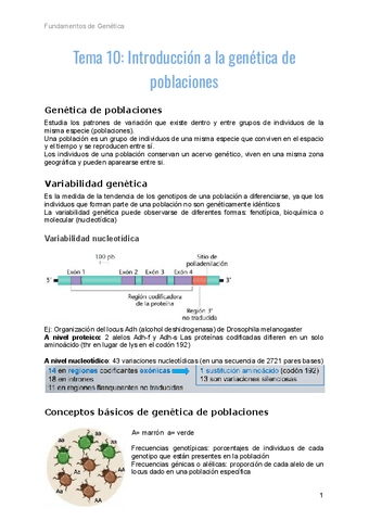 Genetica-tema-10.pdf