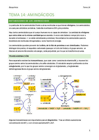 bioquimica-tema-14.pdf