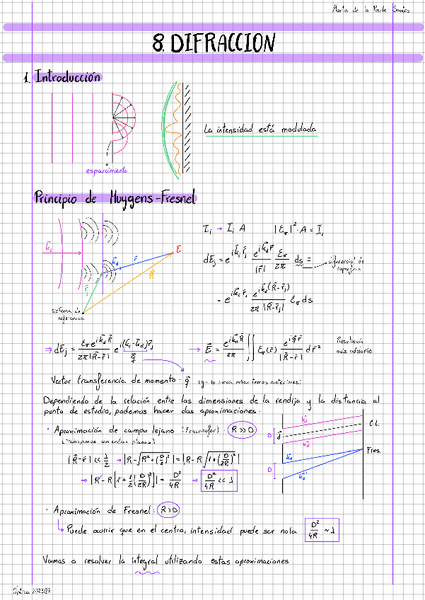 Opt-Tema-8.pdf