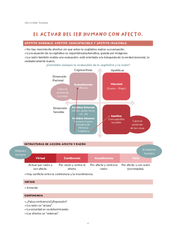 Apetito-sensitivo-estructuras-de-accion.-Afectividad-Humana-Segun-Tomas-de-Aquino-Apuntes.pdf