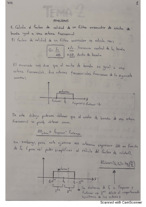 Voz-Tema-2-Problemas.pdf