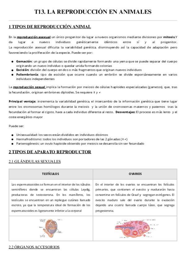 T13.-la-reproduccion-en-animales.pdf