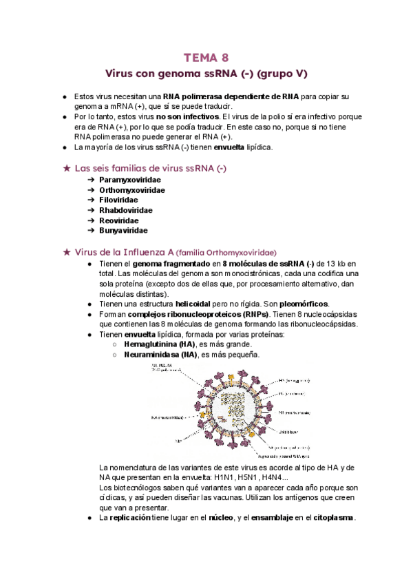tema-8-virus-ssRNA--.pdf