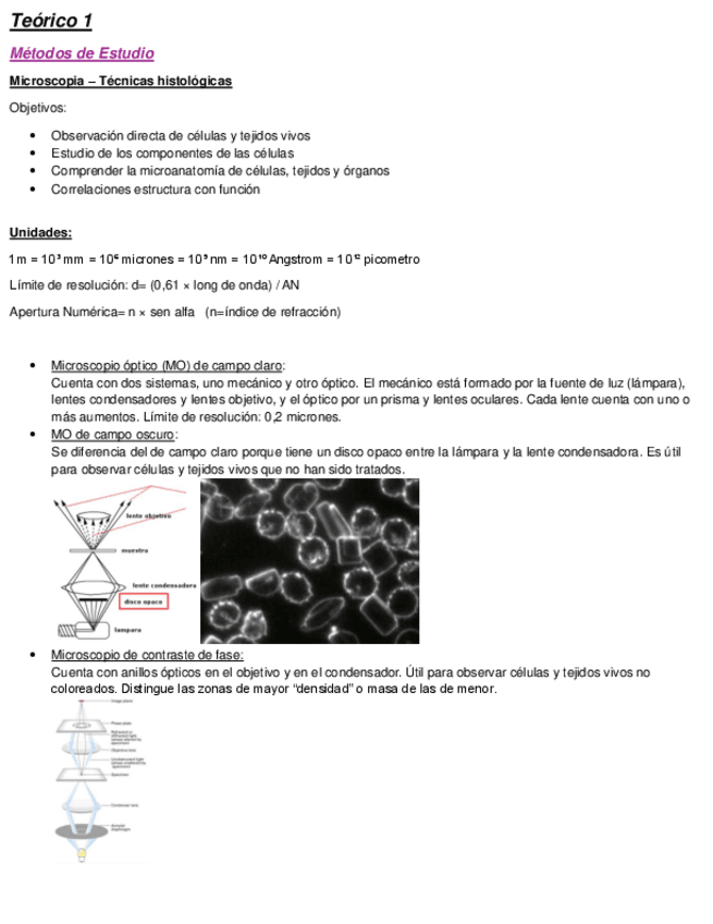 Teorico-1-Microscopia-y-Tecnicas.pdf