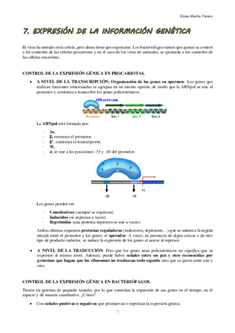 TEMA 7 VIROLOGIA.pdf