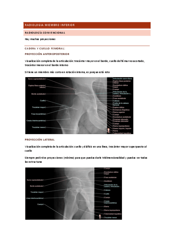 Radiologia-miembro-inferior.pdf