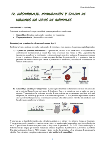 TEMA 12 VIROLOGIA.pdf