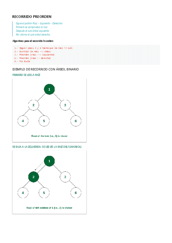 RECORRIDO-PREORDEN.pdf