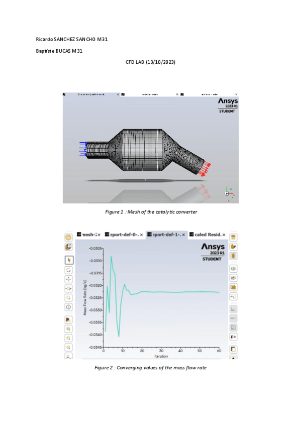 REPORT-CFD-LAB.pdf