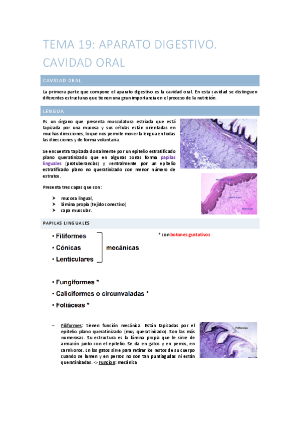 Tema-19-Aparato-digestivo.-Cavidad-oral.pdf
