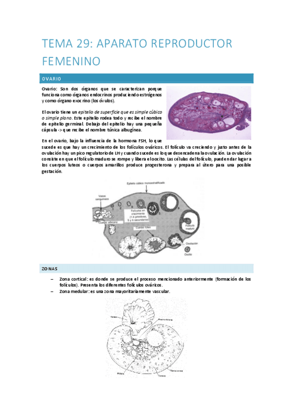 Tema-29-30-Aparato-reproductor-hembra.pdf