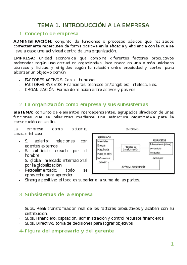 resumen empresa.pdf