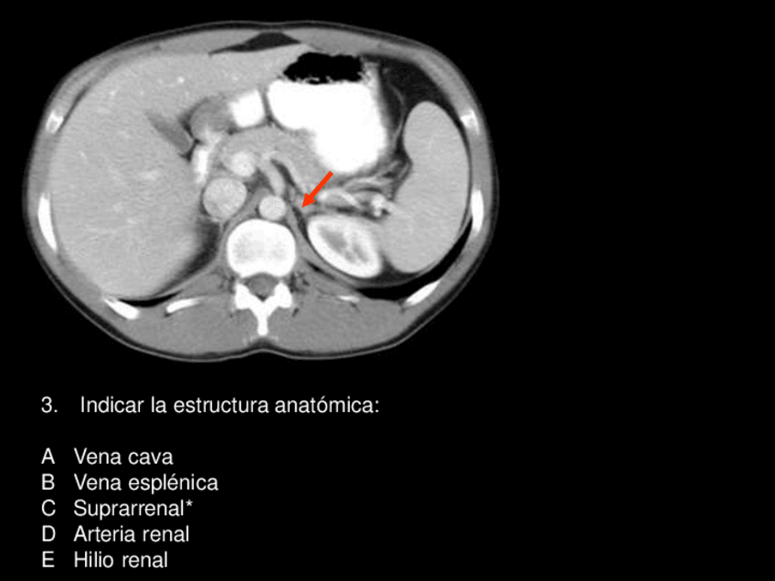 examen-practico 1.pdf