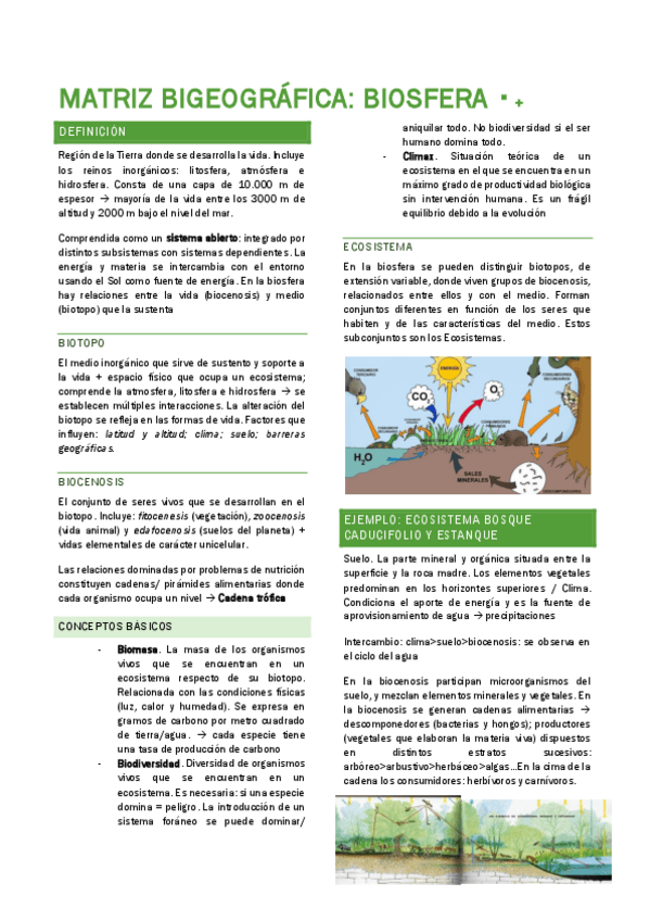 TEMA-5.-LA-MATRIZ-BIGEOGRAFICA.pdf