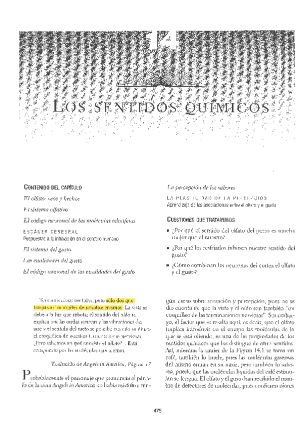 TEMA-6-SUBRAYADO.-LOS-SENTIDOS-QUIMICOS.pdf