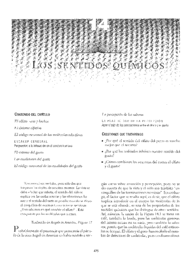 TEMA-7.-LOS-SENTIDOS-QUIMICOS.pdf