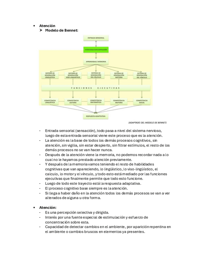 Atencion-y-PatologiasNeuropsicologia.pdf