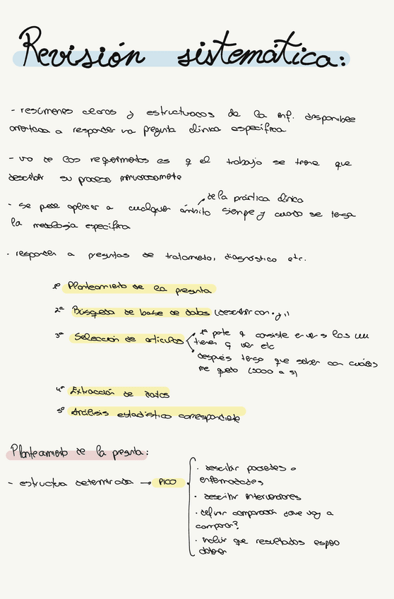 Revision-sistematica.pdf