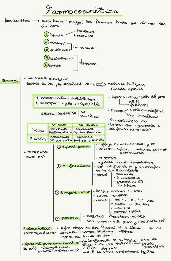 Tema-7-y-8.pdf