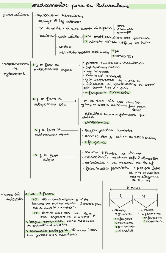 Tema-12.pdf