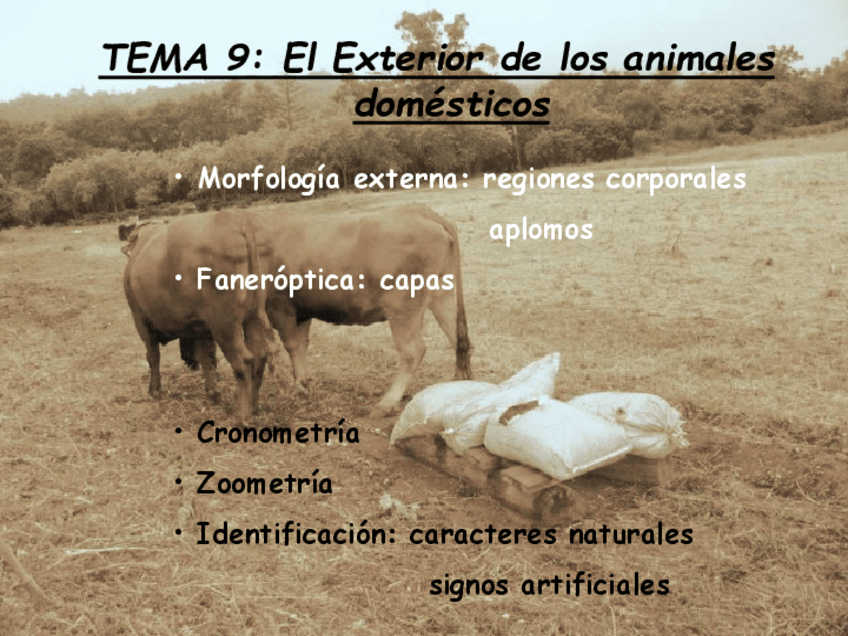 El-exterior-de-los-animaes-domesticos.pdf