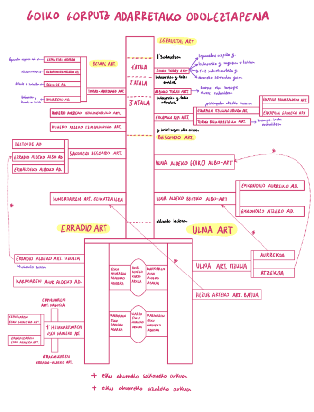 goiko-gorputz-adarretako-odoleztapena.pdf