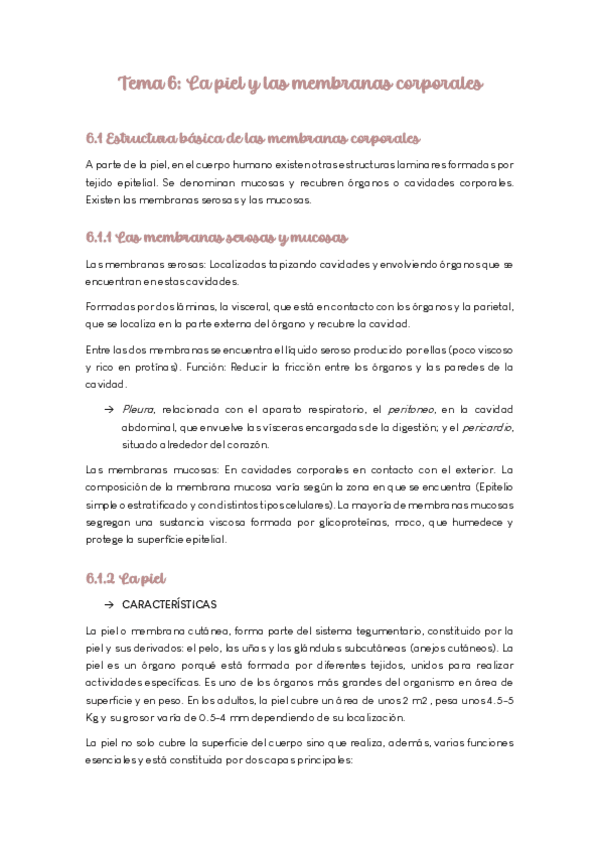 Apuntes-Tema-6-La-pielMaria-M.pdf