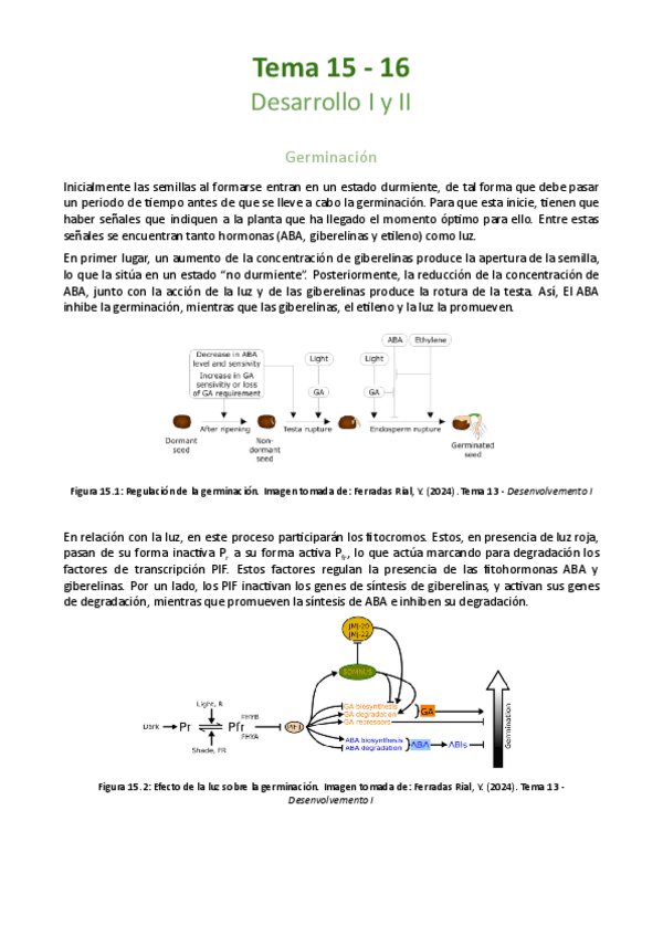 Temas-15-y-16-Desarrollo.pdf