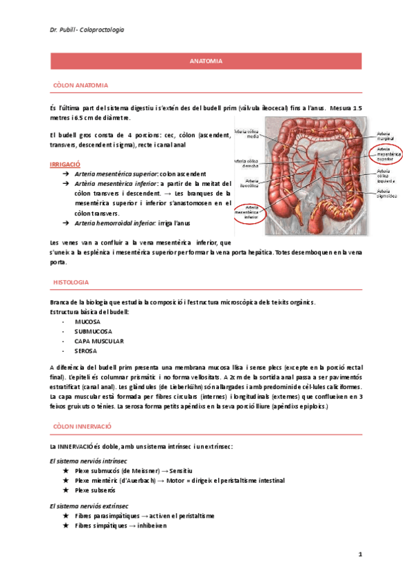 Dr.-Pubill-Coloproctologia.pdf