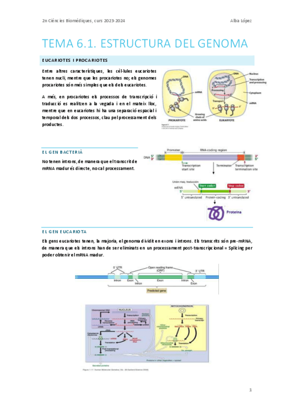 Tema-6.1.-Estructura-del-genoma.pdf