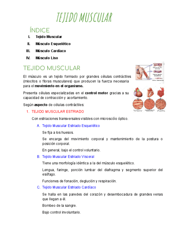 Tejido-muscular.pdf