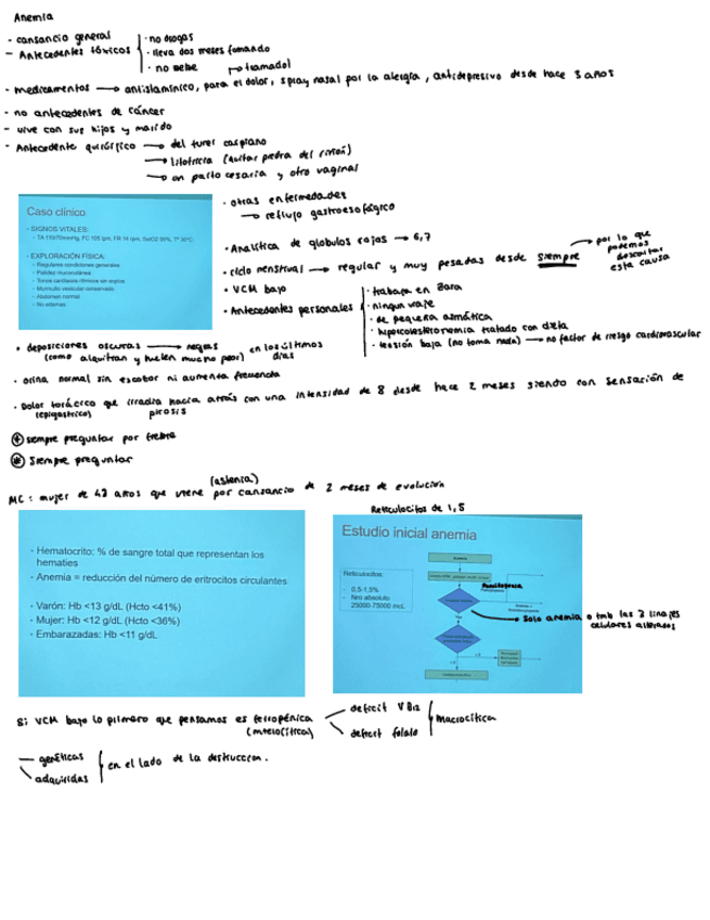 Seminario-11-Anemia.pdf