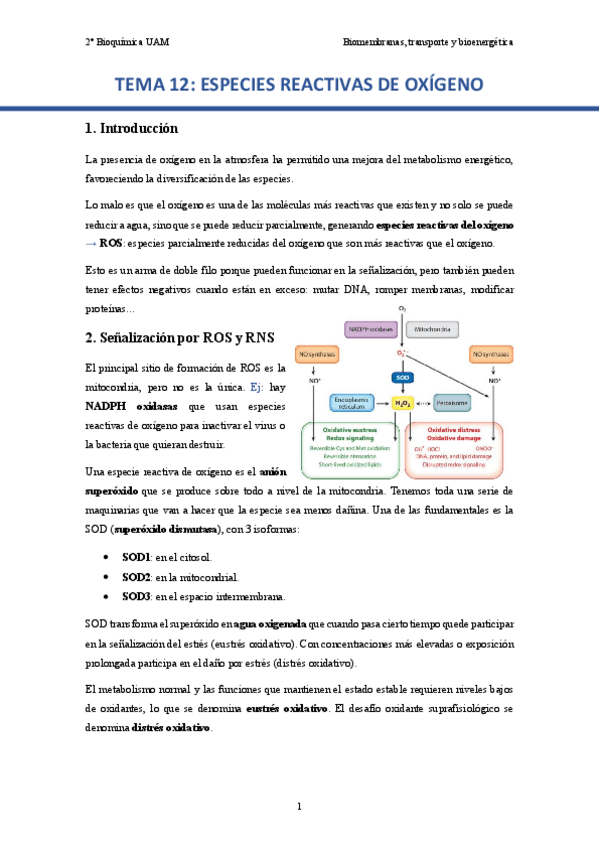 TEMA-12.-Especies-reactivas-de-oxigeno..pdf