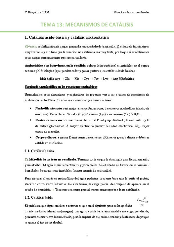 TEMA-13.-Mecanismos-de-catalisis..pdf